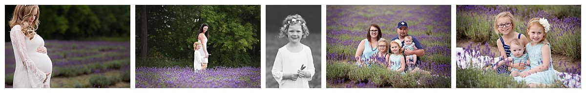 Oshawa maternity photographer lavender filed laveanne ontario